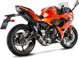 Komplette Abgasanlage Mit Katalysator Und Geräuschzulassung Lv One Evo Edelstahl Endkappe Carbon Fiber - Leovince Kompatibel Mit Kawasaki Ninja 650 (2017-2019)