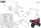 Auspuffendstück Mit Geräuschzulassung Delta Race Edelstahl Carbon - Mivv Kompatibel Mit Bmw F 900 Xr (2020-2024)