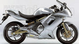 Komplette Auspuffanlage Ohne Katalysator Und Mit Geräuschzulassung Maxi Race-Tech Aluminium Edelstahl - Arrow Special Parts Kompatibel Mit Kawasaki Er-6 F (2005-2011)