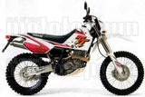 Auspuffendrohr Ohne Geräuschzulassung Paris Dacar Edelstahl Edelstahl - Arrow Special Parts Kompatibel Mit Yamaha Tt 600 R (1999-2001)