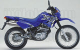 Auspuffendrohr Ohne Geräuschzulassung Paris Dacar Edelstahl Edelstahl - Arrow Special Parts Kompatibel Mit Yamaha Xt 600 E (1990-1994)