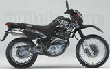 Auspuffendrohr Ohne Geräuschzulassung Paris Dacar Edelstahl Edelstahl - Arrow Special Parts Kompatibel Mit Yamaha Xt 600 E (1995-2001)