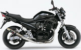 Auspuffendstück Mit Geräuschzulassung Deeptone Edelstahl - Gpr Kompatibel Mit Suzuki Gsf 650 Bandit - S (2005-2006)