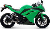 Auspuffendrohr Ohne Geräuschzulassung Relevance Carbon Carbon Cap - Termignoni Kompatibel Mit Kawasaki Ninja 300 R (2012-2017)