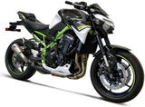 Auspuffendrohr Ohne Geräuschzulassung Gp2R-Rht Titan Aluminium Cap - Termignoni Kompatibel Mit Kawasaki Z 900 (2020)