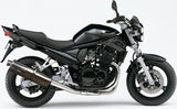 Auspuffendstück Mit Geräuschzulassung Trioval Edelstahl - Gpr Kompatibel Mit Suzuki Gsf 600 Bandit - S (1995-2005)