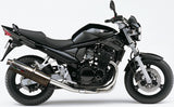 Exhaust Tip With Noise Certification Trioval Stainless Steel - Gpr Compatible With Suzuki Gsf 650 Bandit - S (2005-2006)