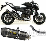 Auspuffendstück Mit Geräuschzulassung Race-Tech Carbon Carbon - Arrow Special Parts Kompatibel Mit Kawasaki Z 800 E (2013-2016)