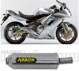 Auspuffendstück Mit Geräuschzulassung Maxi Race-Tech Aluminium Edelstahl - Arrow Special Parts Kompatibel Mit Kawasaki Er-6 N (2005-2011)