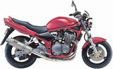 Auspuffendstück Mit Geräuschzulassung Oval Edelstahl - Mivv Kompatibel Mit Suzuki Gsf 600 Bandit (2000-2004)