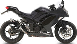 Auspuffendstück Mit Geräuschzulassung Gp Carbon - Mivv Kompatibel Mit Kawasaki Ninja 300 (2013-2016)