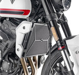 Schutz Für Wasser Ölradiatoren Edelstahl Schwarz Edelsthal - Givi Kompatibel Mit Triumph Trident 660 (2021-2024)