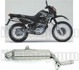 Auspuffendrohr Ohne Geräuschzulassung Paris Dacar Edelstahl Edelstahl - Arrow Special Parts Kompatibel Mit Yamaha Xt 600 E (1995-2001)