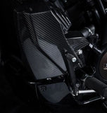 Kühlerabdeckung Carbon - Zard Kompatibel Mit Harley-Davidson Sportster S 1250 (2021-2023)